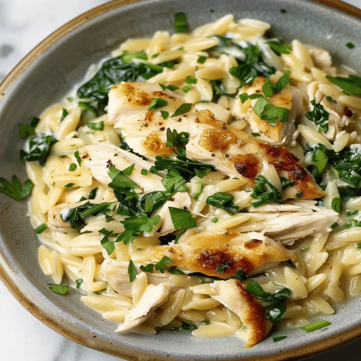 Boursin Orzo with Chicken: The Creamy Indulgence You Crave