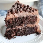 Skinny Chocolate Cake